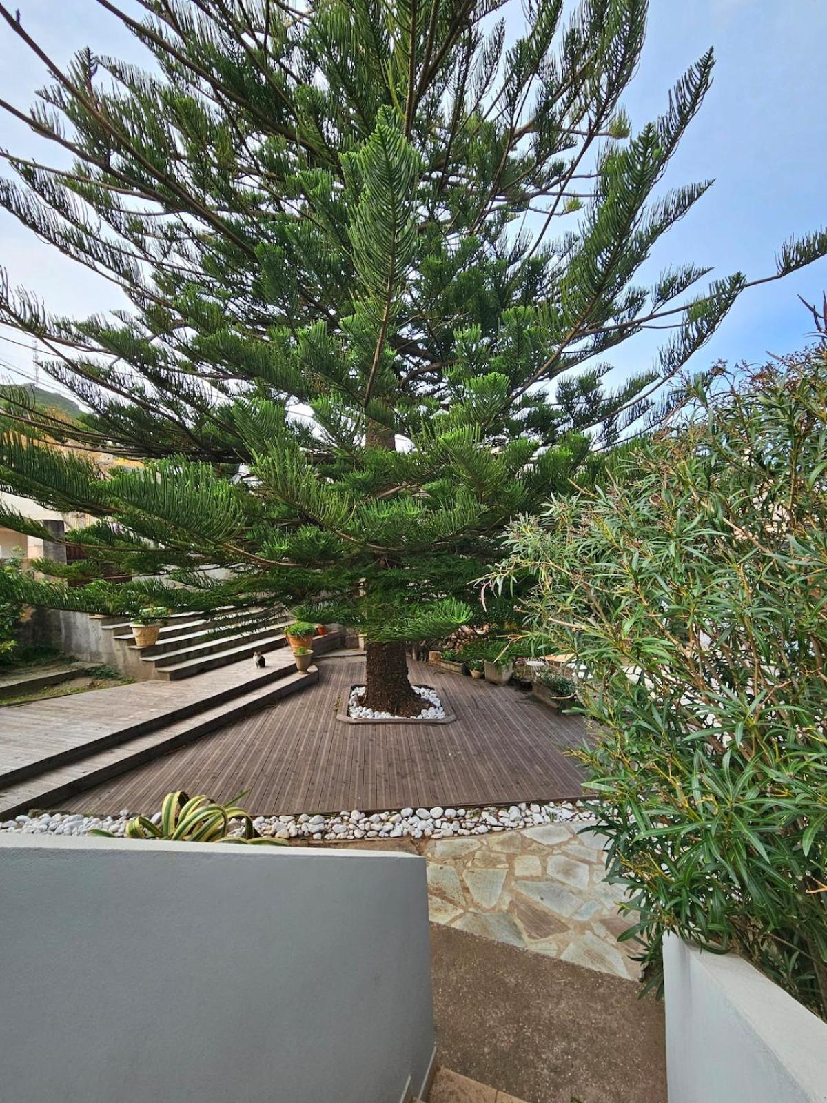 Domaine U Pozzu Appartement Sisco Buitenkant foto